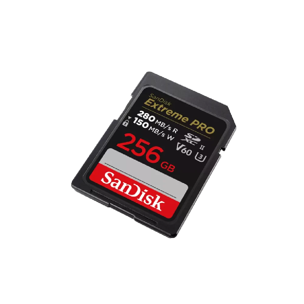 כרטיס EX PRO SD 280S V60 6K 256B