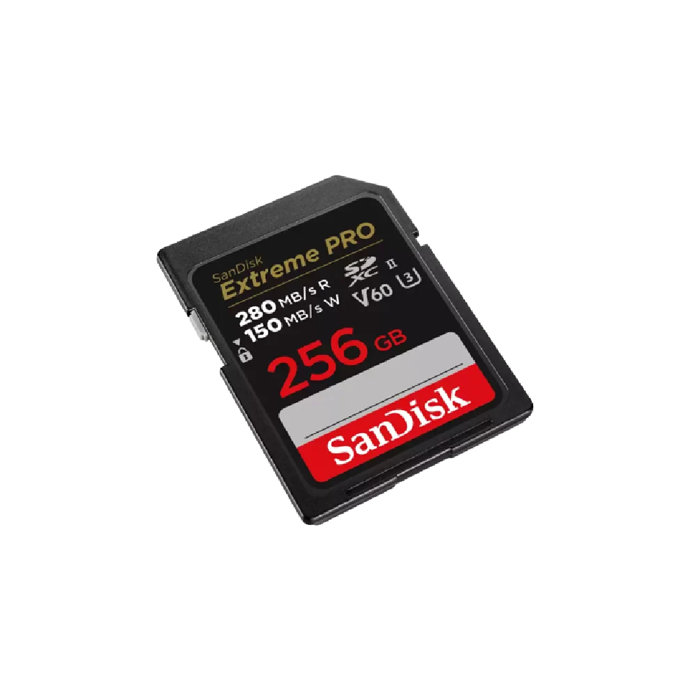 כרטיס EX PRO SD 280S V60 6K 256B – תמונה 2