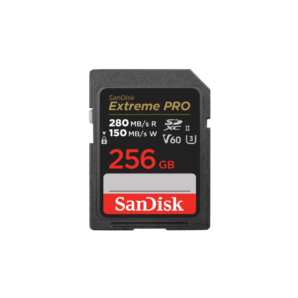 כרטיס EX PRO SD 280S V60 6K 256B – תמונה 3