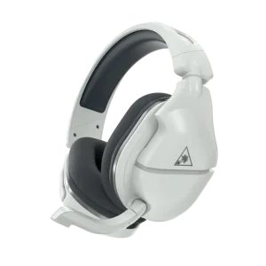 Turtle Beach